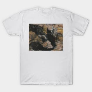 Abstraction 69, "Pluton" T-Shirt